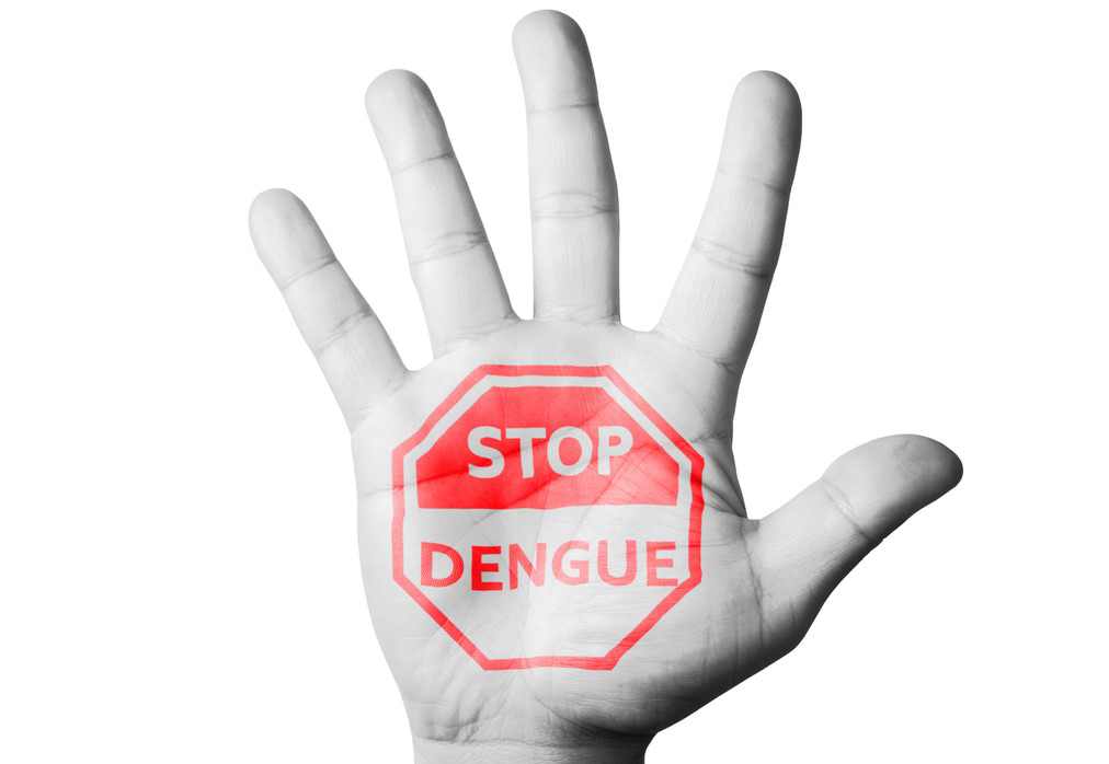 image of stop dengue